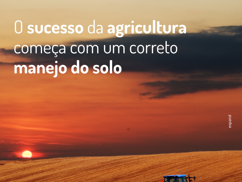 o sucesso da agricultura
