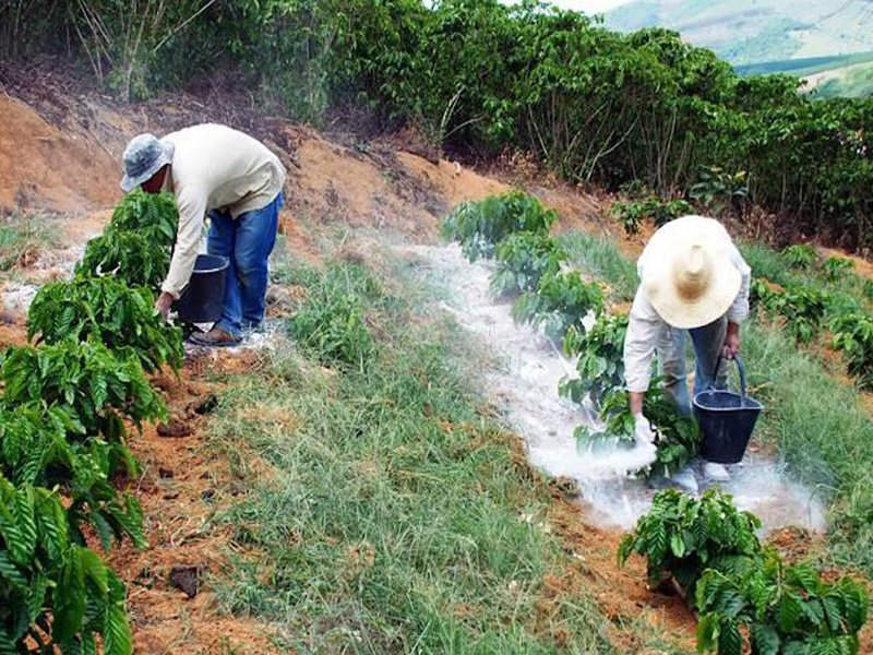 Calcário: o aliado essencial para a fertilidade do solo
