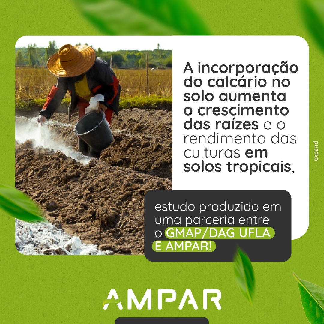 A Incorporação do calcário no solo aumenta o crescimento das raízes e o rendimento das culturas em solos tropicais.