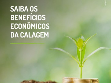 Renda e movimentação financeira