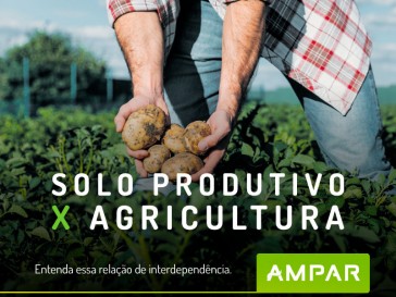 Solo produtivo