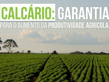 produtividade agrícola