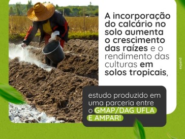 A Incorporação do calcário no solo aumenta o crescimento das raízes e o rendimento das culturas em solos tropicais.