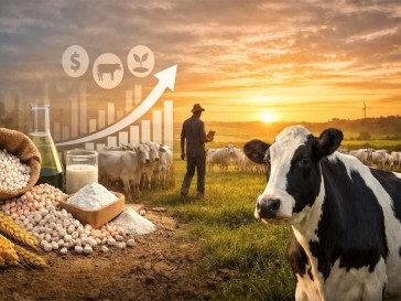 Nutrição animal no cenário atual: como eficiência e estratégia definem a rentabilidade da pecuária