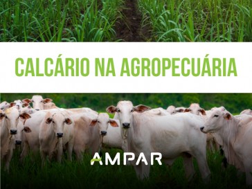 calcário na agropecuária