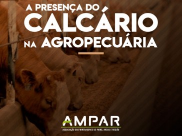 Presença do calcário na agropecuária