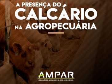 Presença do calcário na agropecuária