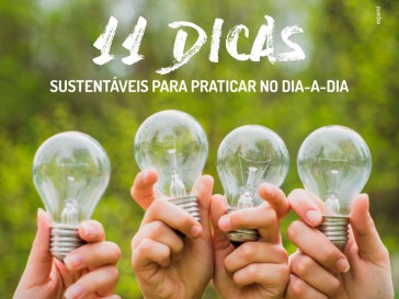 11 dicas